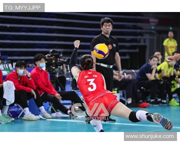 上海排球队的节奏革新探索与发展之路的深度剖析与展望